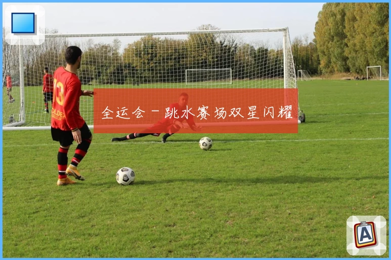 全运会 - 跳水赛场双星闪耀