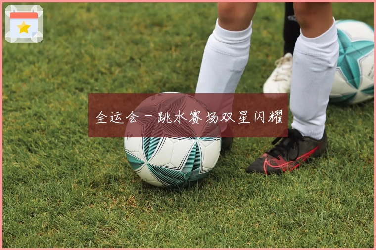 全运会 - 跳水赛场双星闪耀